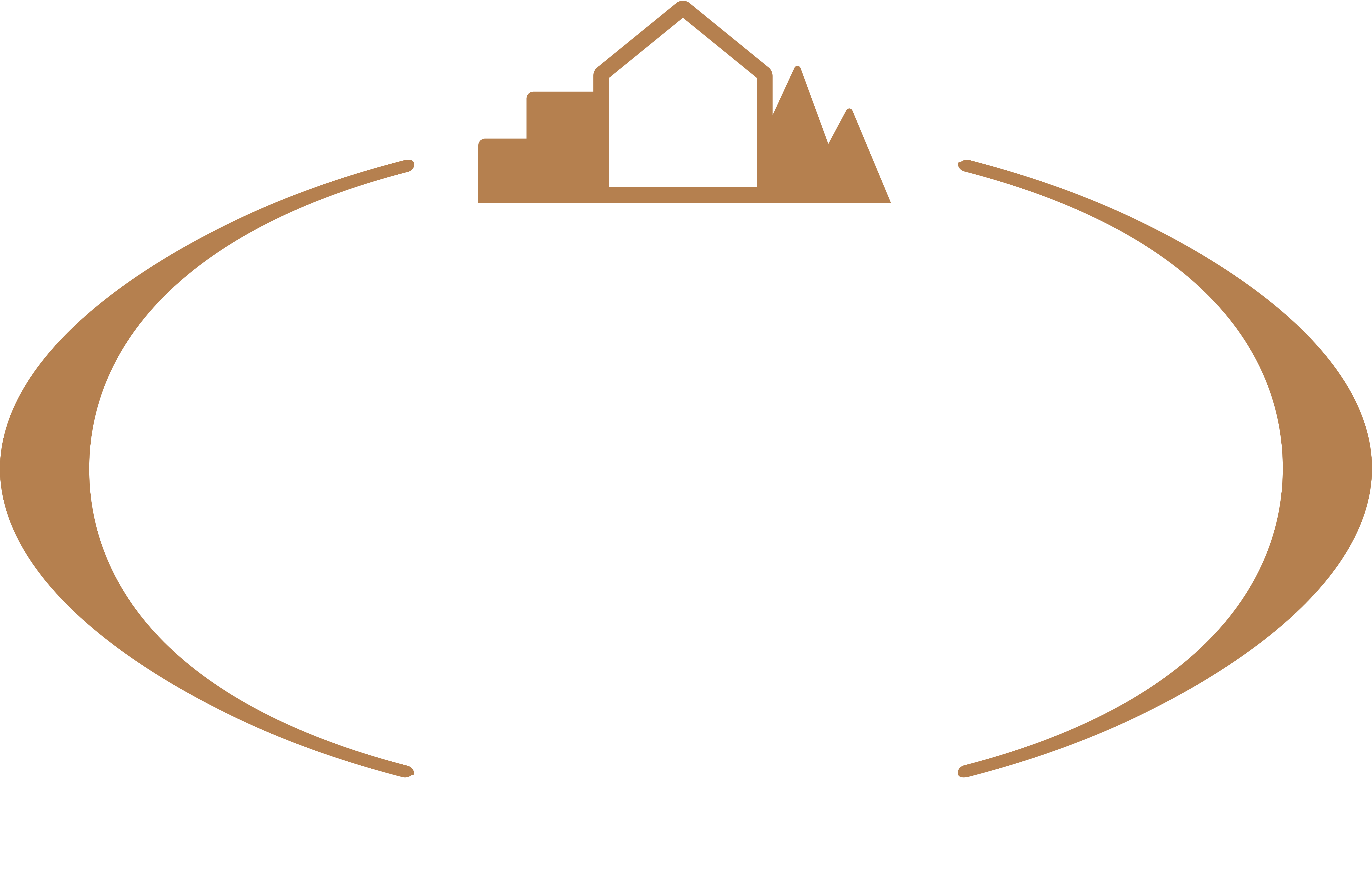 Town & Country Realty